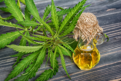  CBD Oil